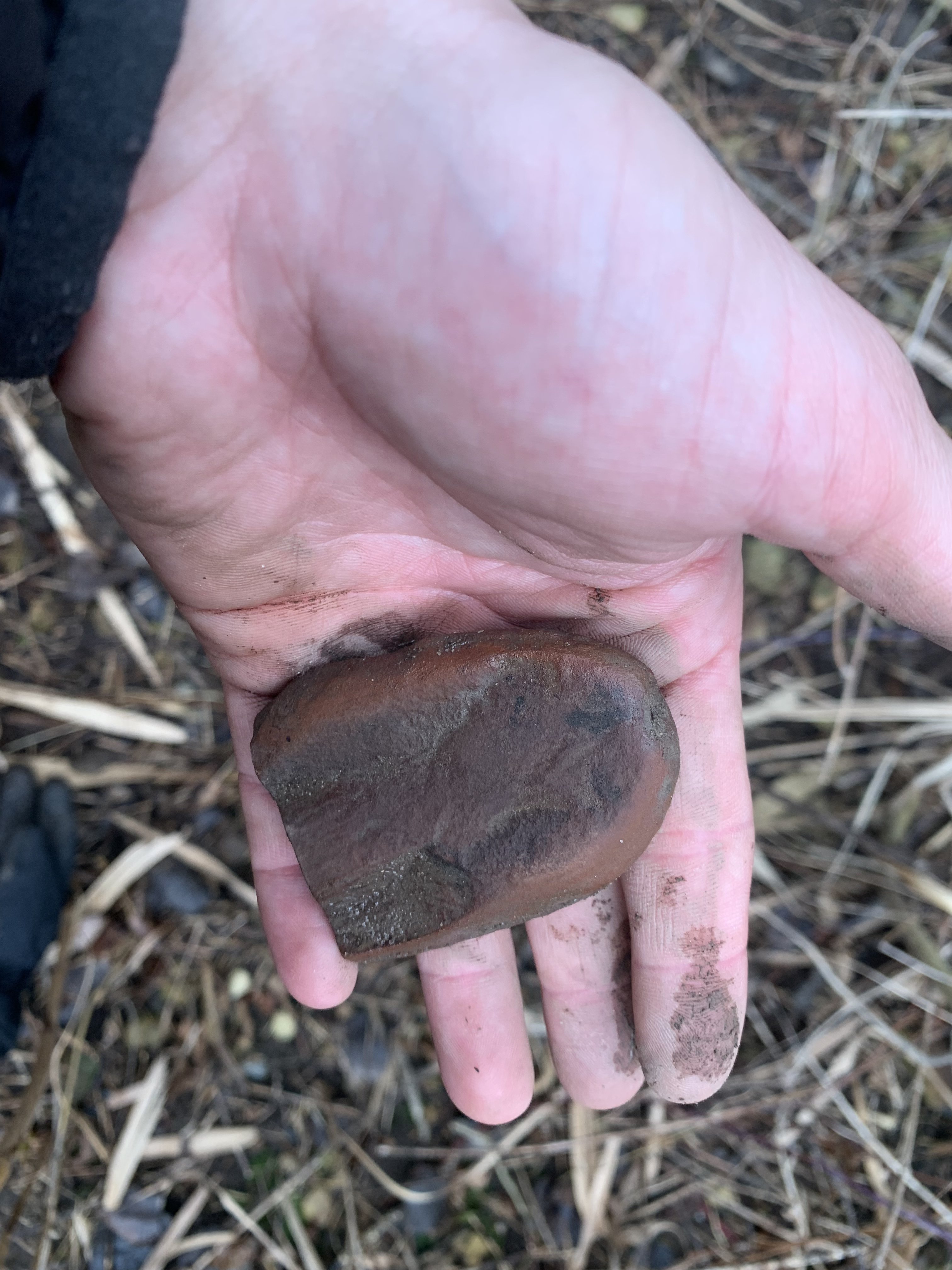 Tully monster? - Fossil ID - The Fossil Forum