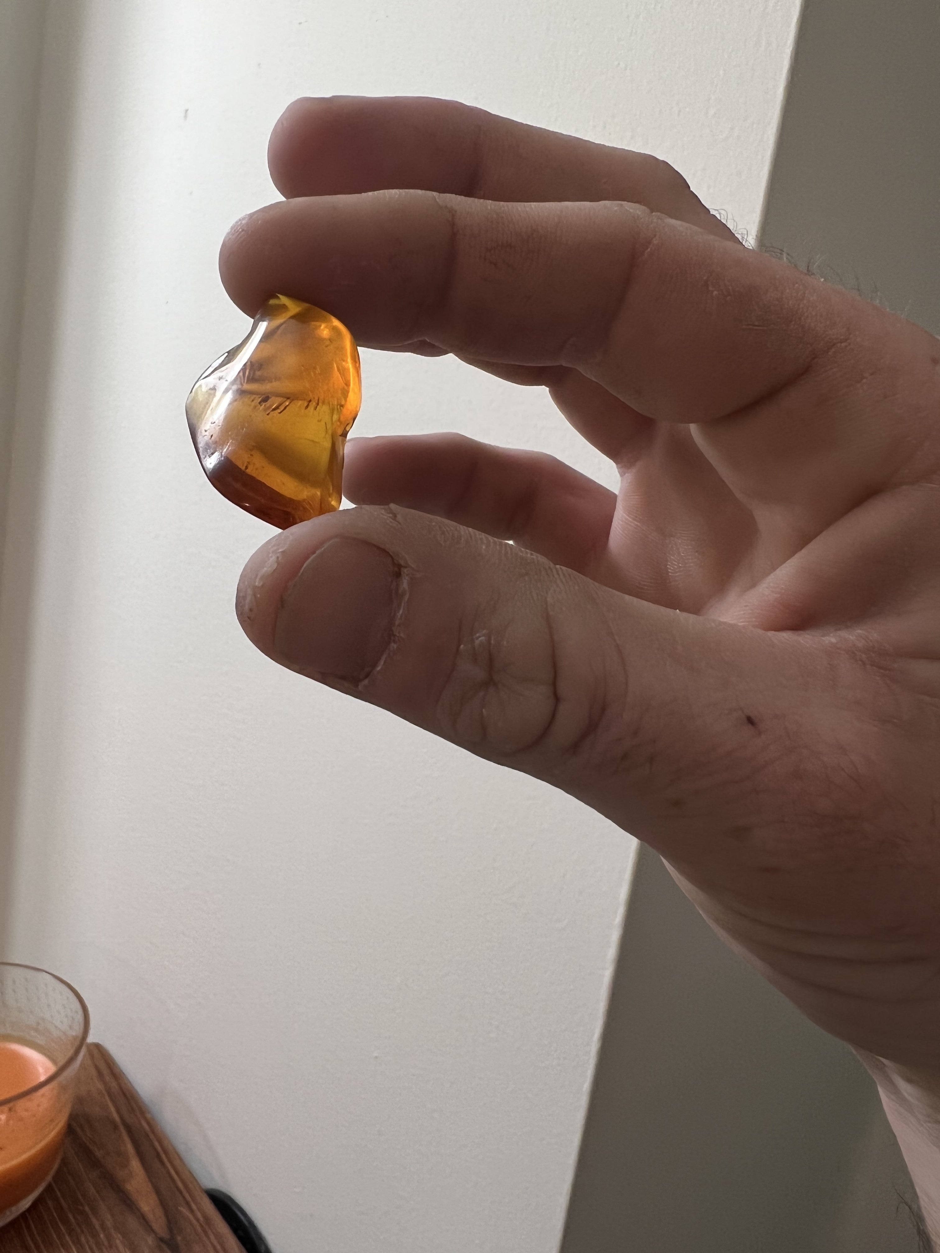 Lots of Amber with inclusions - Member Collections - The Fossil Forum