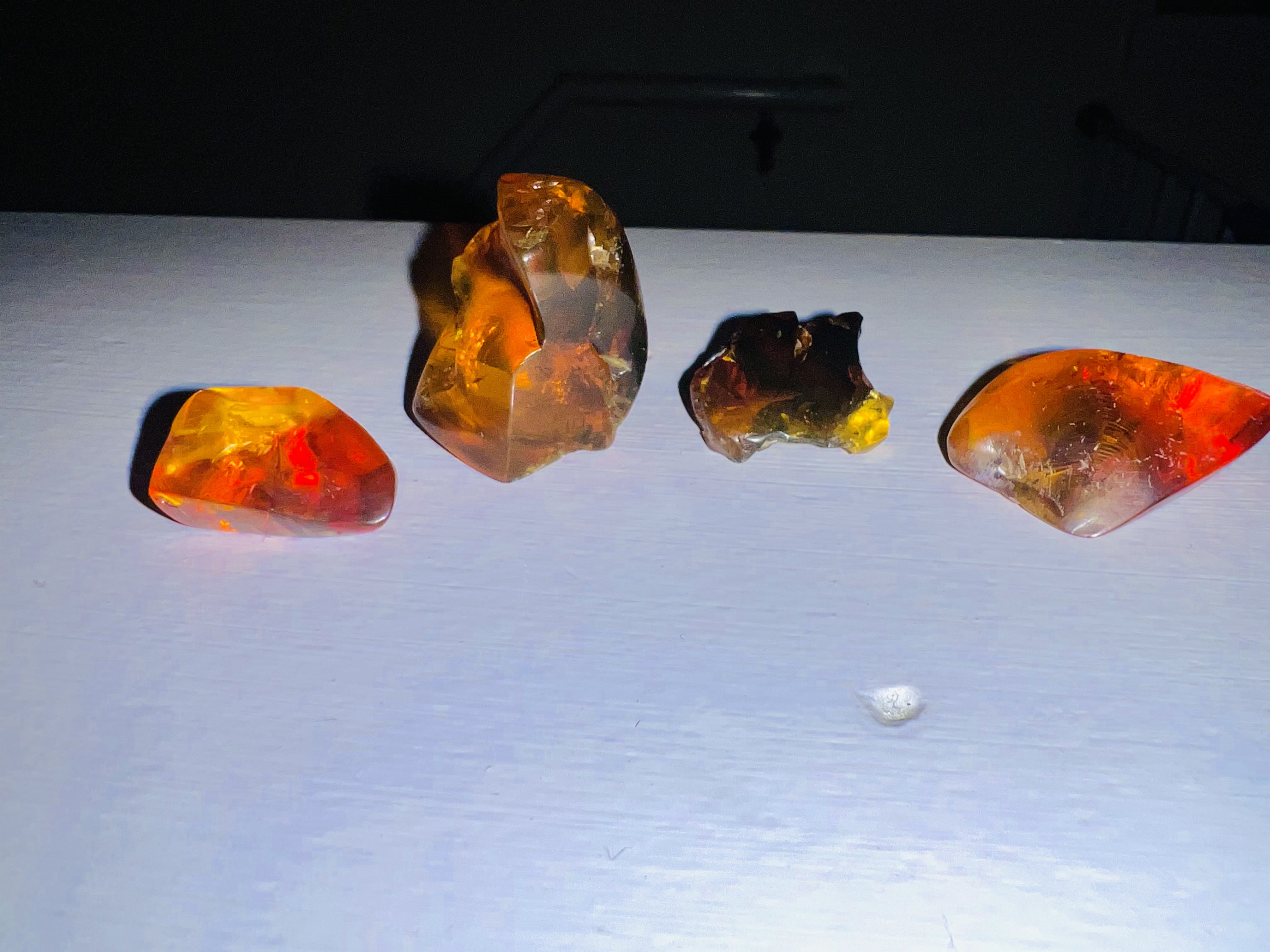 Lots of Amber with inclusions - Member Collections - The Fossil Forum