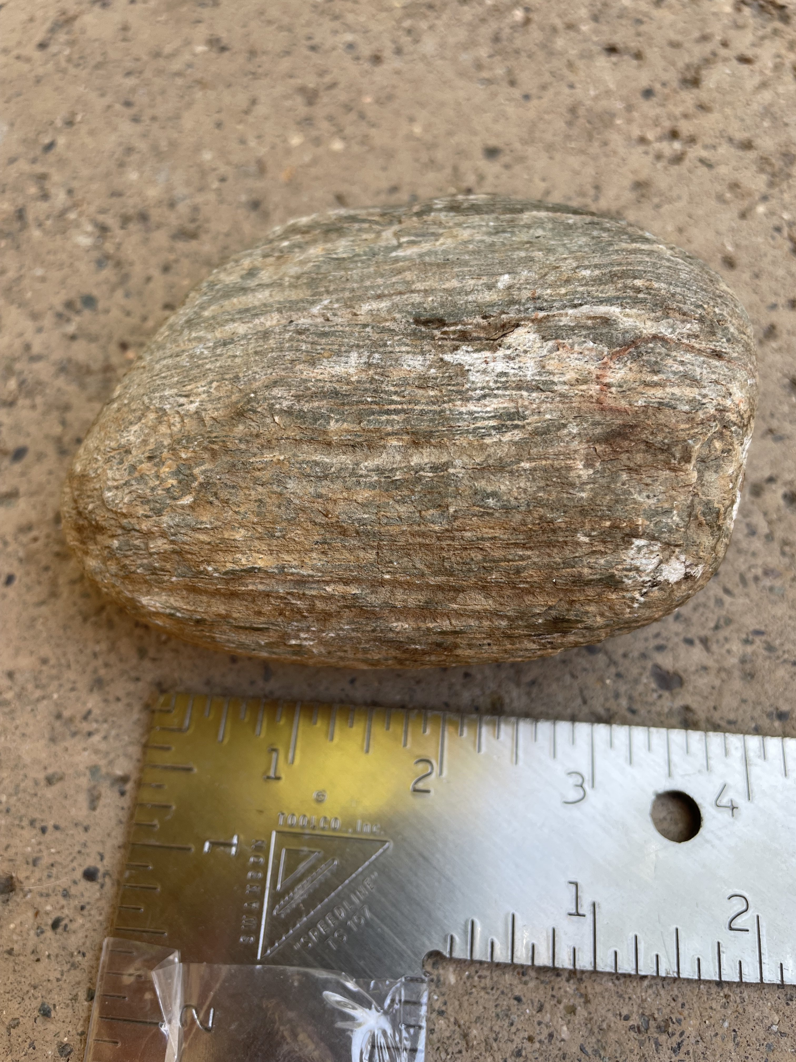 Petrified Wood ID - Fossil ID - The Fossil Forum