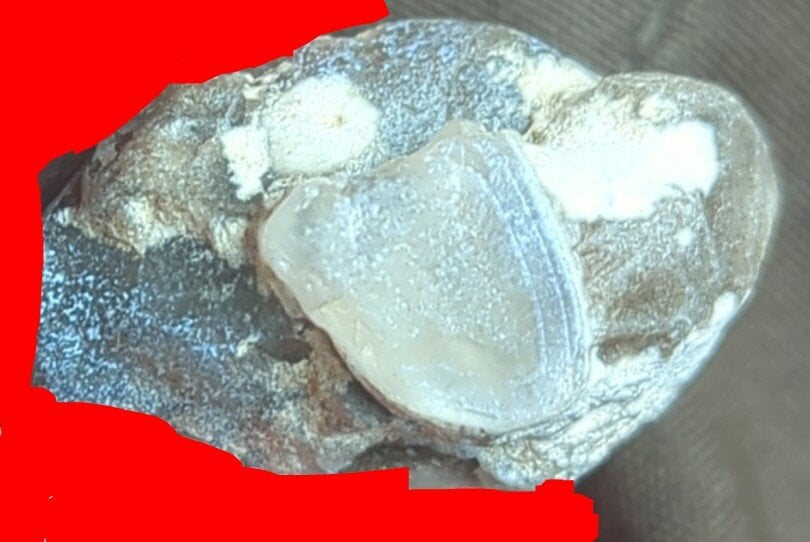 Clear translucent mineral found on beach - Rocks & Minerals - The ...