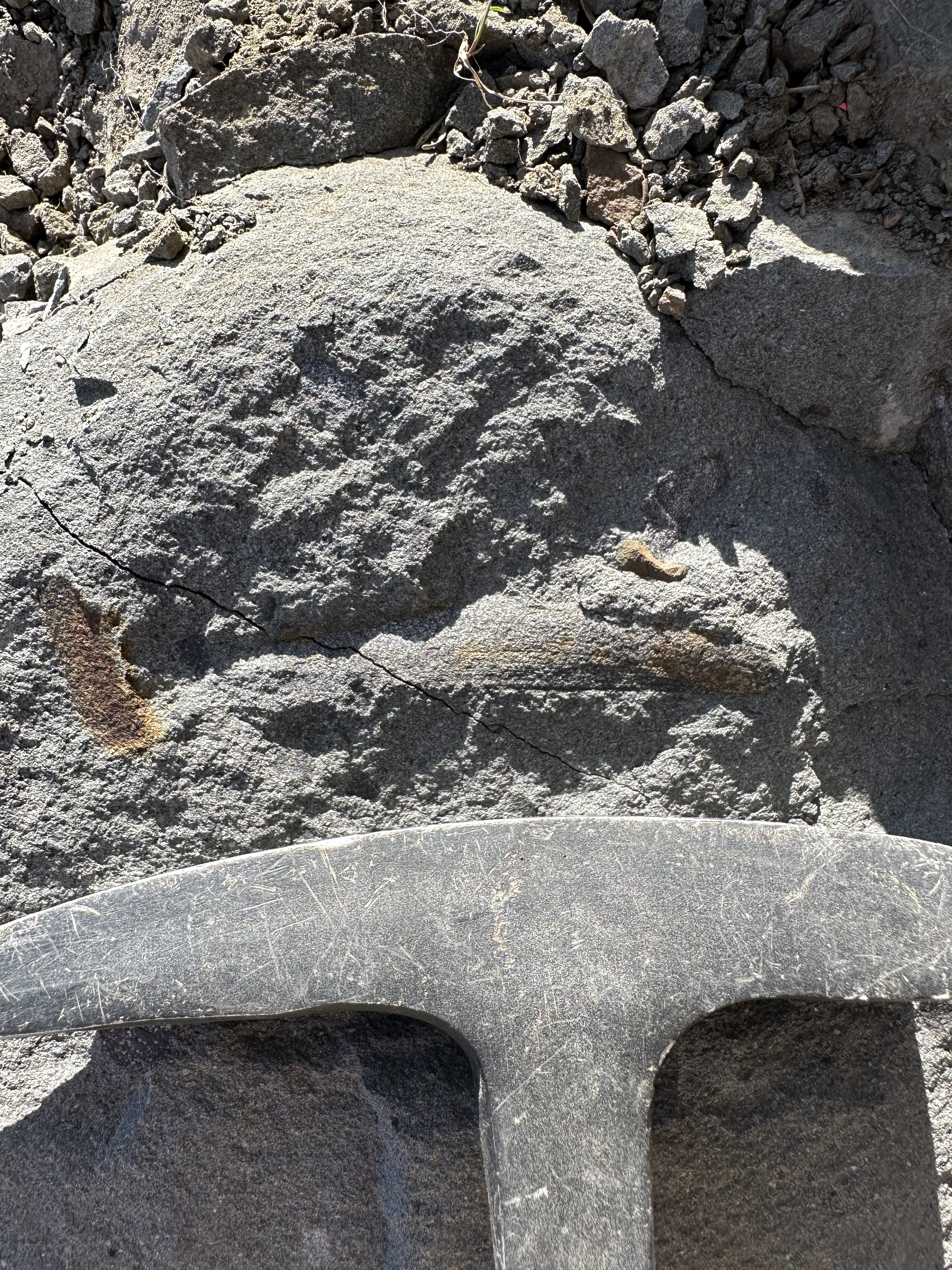 Vancouver Island fossils - Upper Cretaceous and Permian - Fossil ID ...