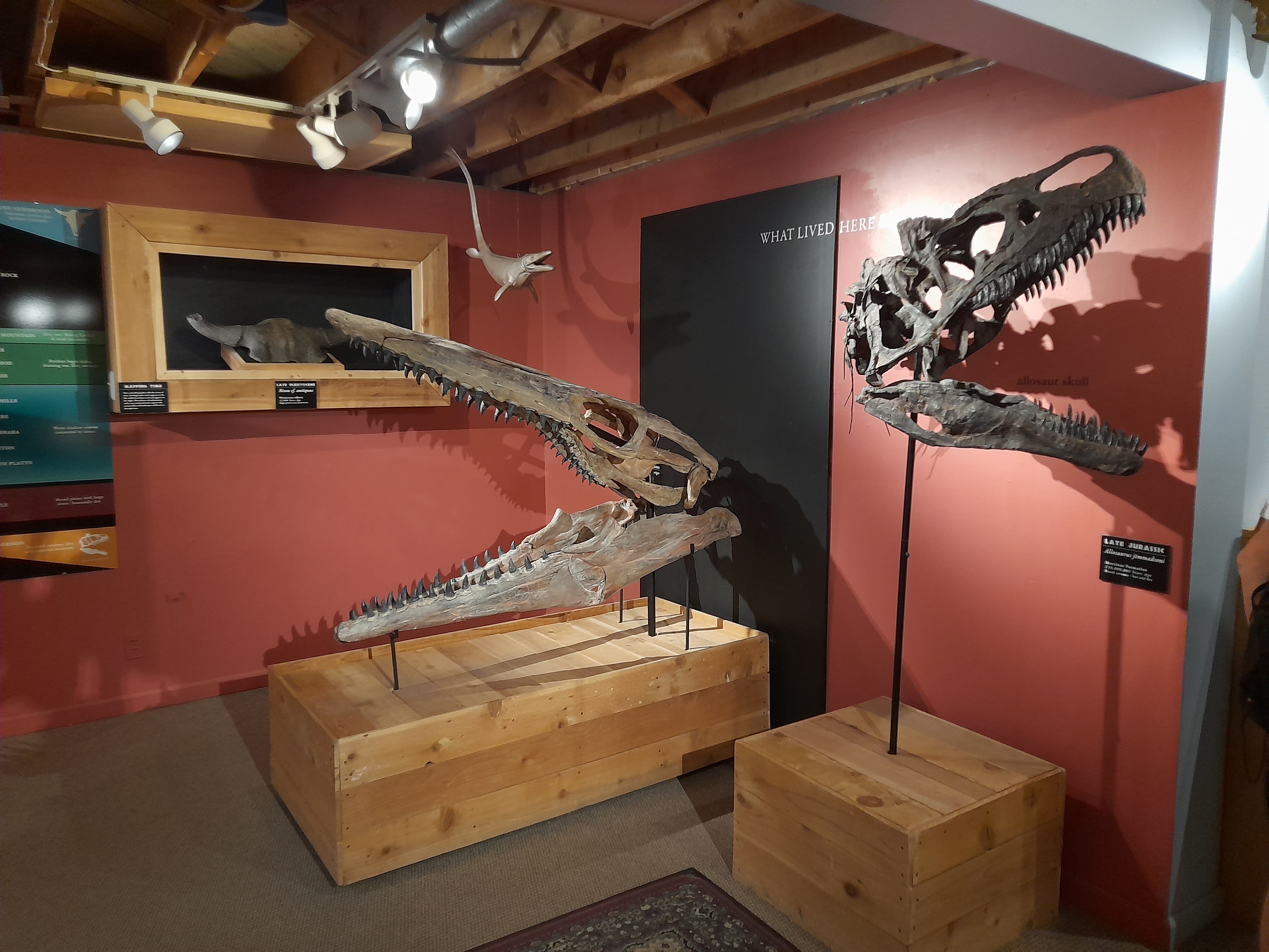 Trip the the Morrison Natural History Museum, Colorado - A Trip to