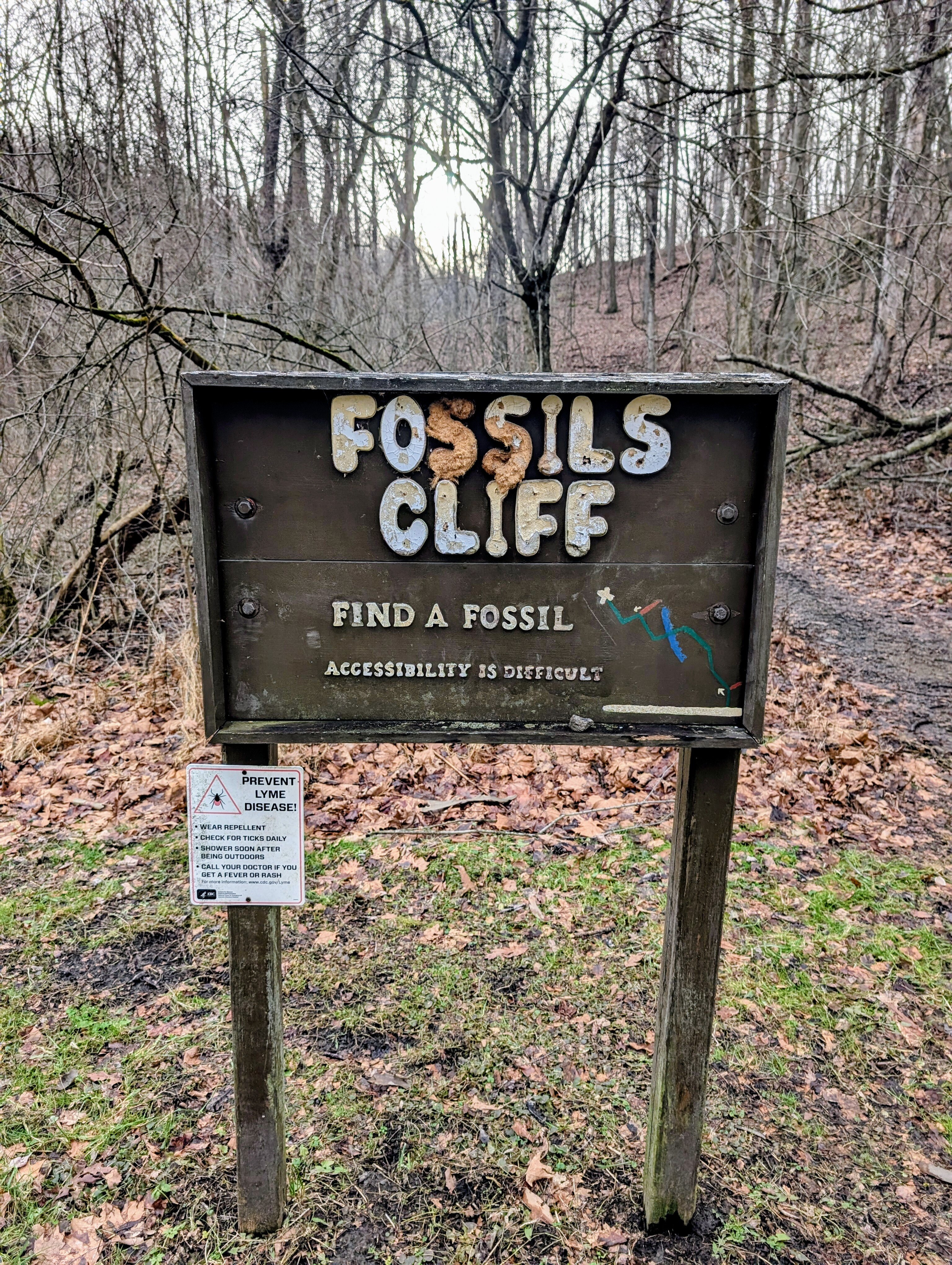 Fossils Cliff Carnegie PA - Fossil Hunting Trips - The Fossil Forum