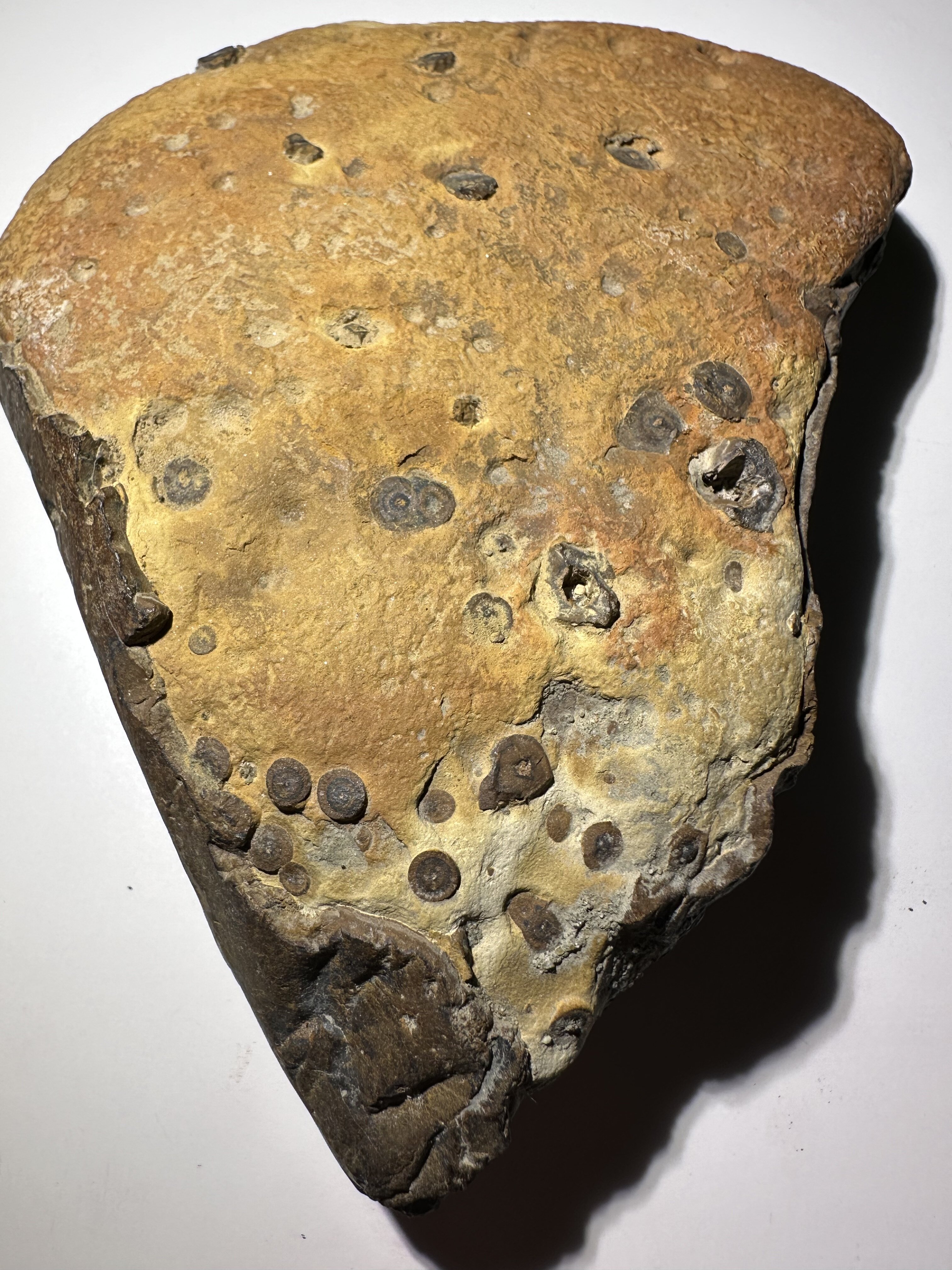 Interesting rock - Rocks & Minerals - The Fossil Forum