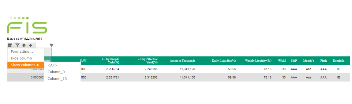 Show/Hide column functionality shows generic names instead of actual ...