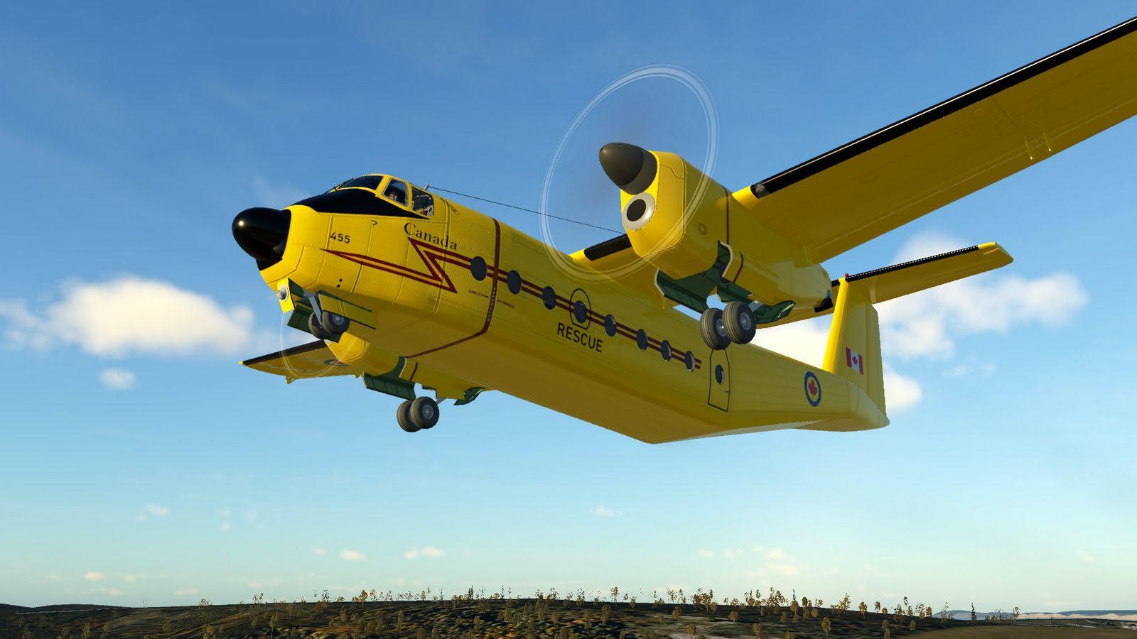 DHC　５点セット buffalo_1b.jpg