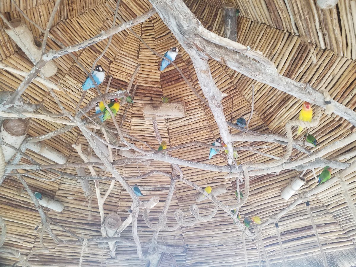 What to do in Costa Maya for free (or cheap)....