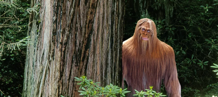September MORG - Lost Coast Squatch Hunt