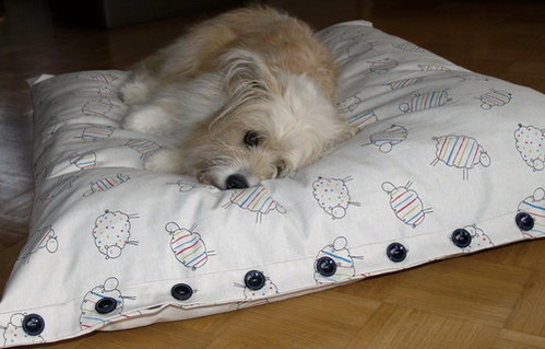 hundebett plsch Hundebett mit warmem Plsch fr kalte Wintertage