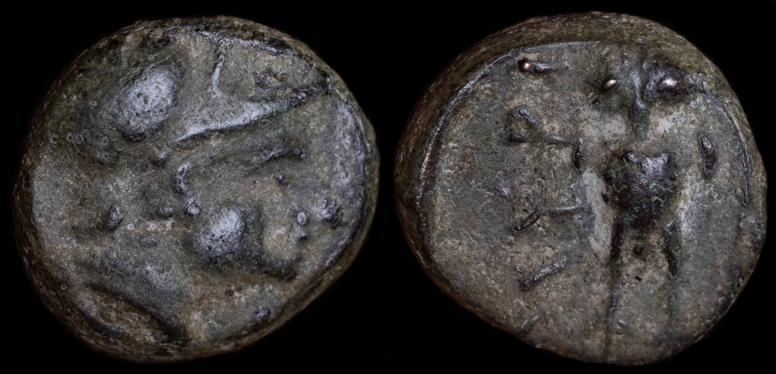 Coins from the journey of the Argonauts - Greek - Numis Forums