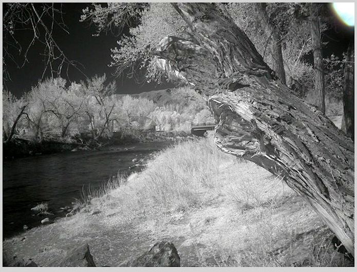 Infrared conversion - Beginner Questions - Photo.net