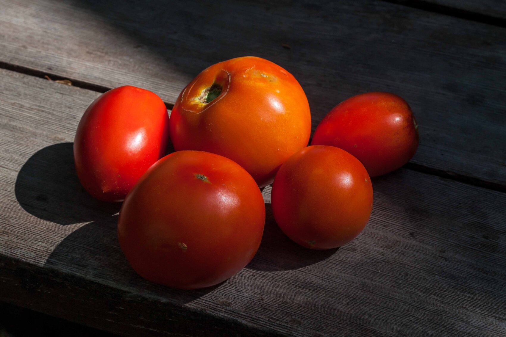 Terrific Images Of A Tomato Gallery