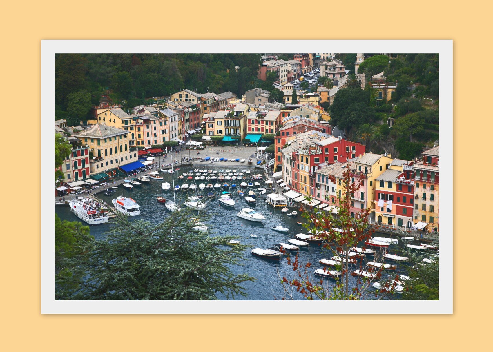 large.Portofino.jpg.097f34e51fcb41523e7680a0fbc3bf30.jpg