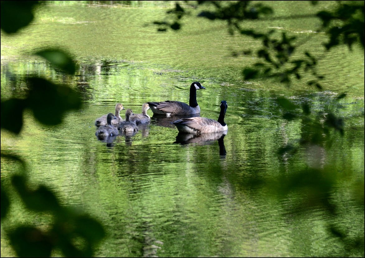Family outing - No Words - Photo.net
