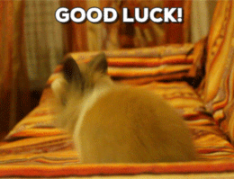 good luck GIF
