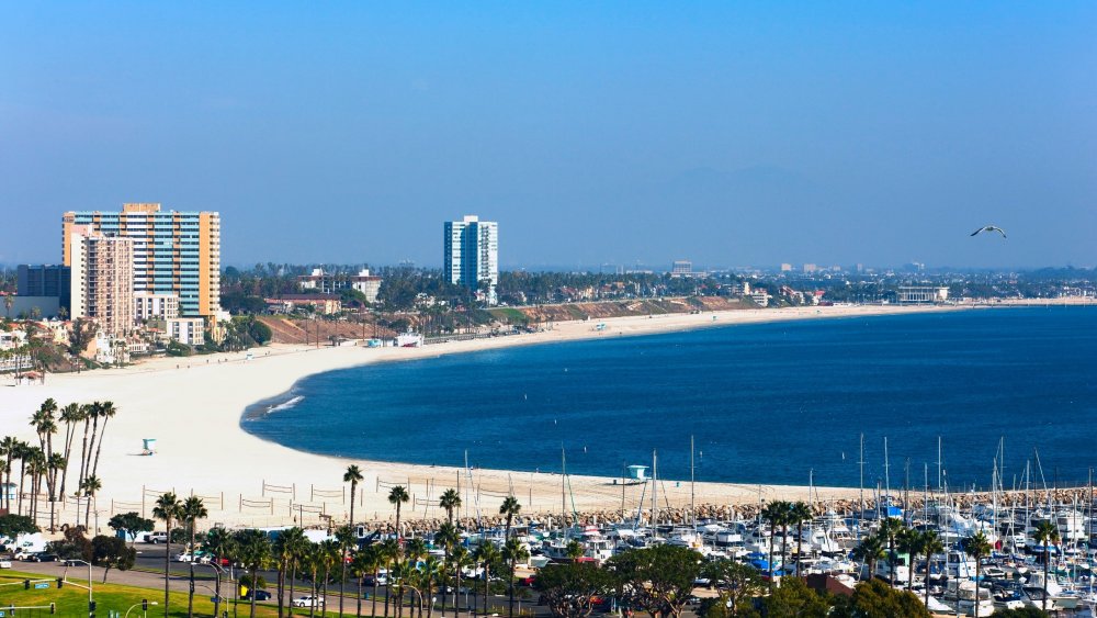 Image result for long beach