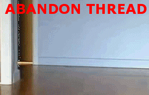 abandon-thread-gif-cats.gif