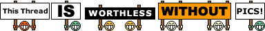 this_thread_is_worthless_without_pics.gi