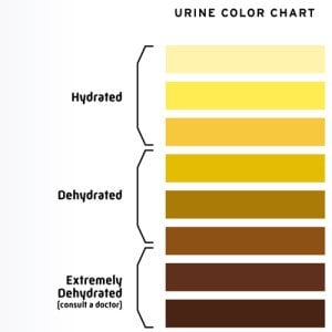 urine-hydration-300x300.jpg