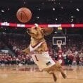 Joe_Hoopsier