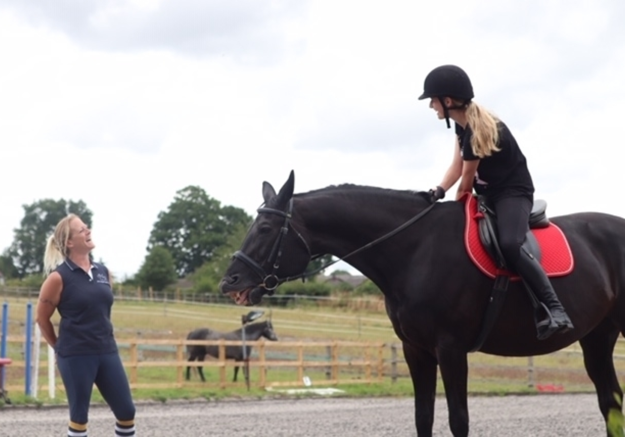 Adult Equine Camp at Bucklebury Equestrian with Jackie Gallagher (NFED Event Diary)