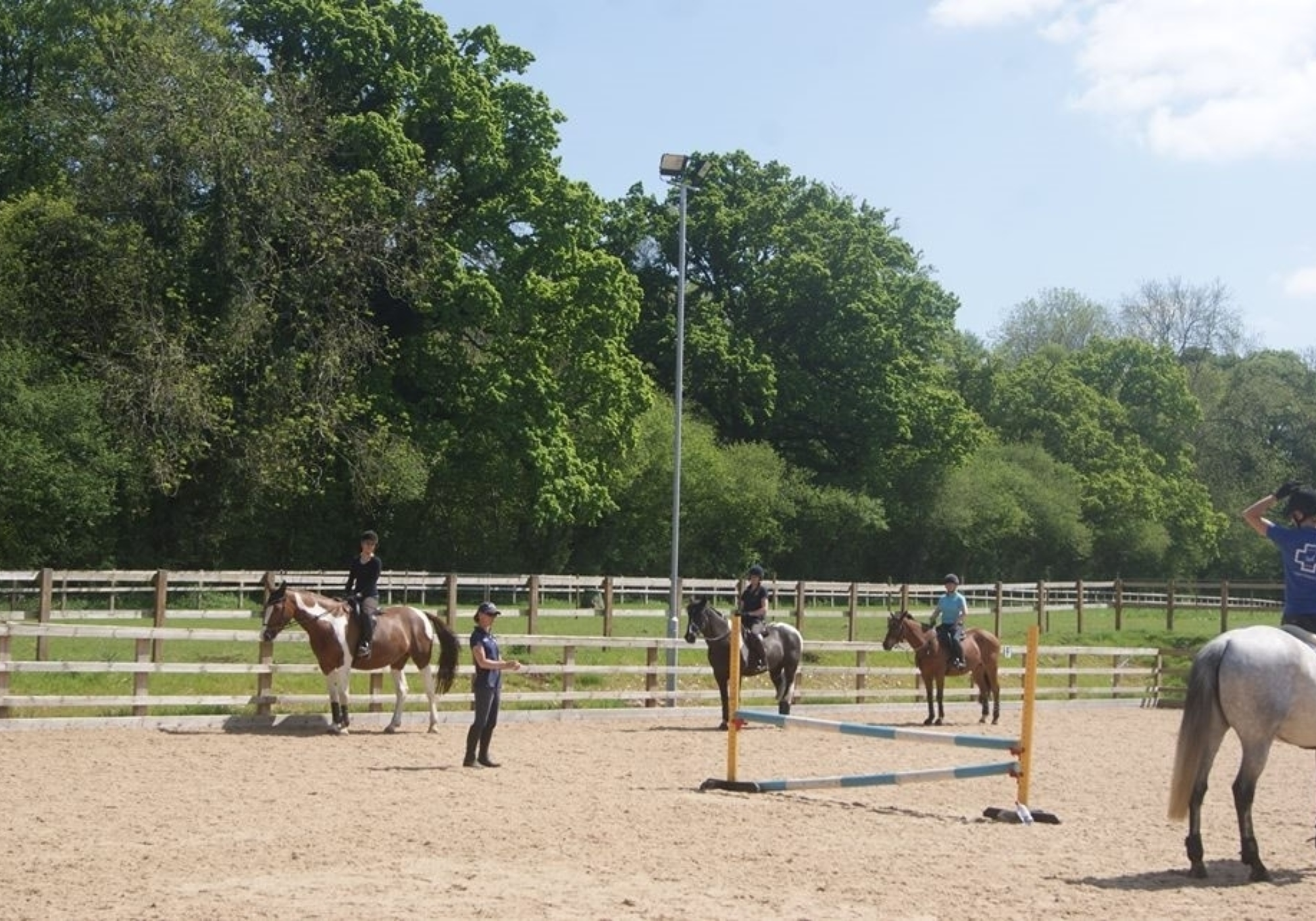 Poles with Purpose Clinic with Cheryl Bezants (NFED Event Diary)
