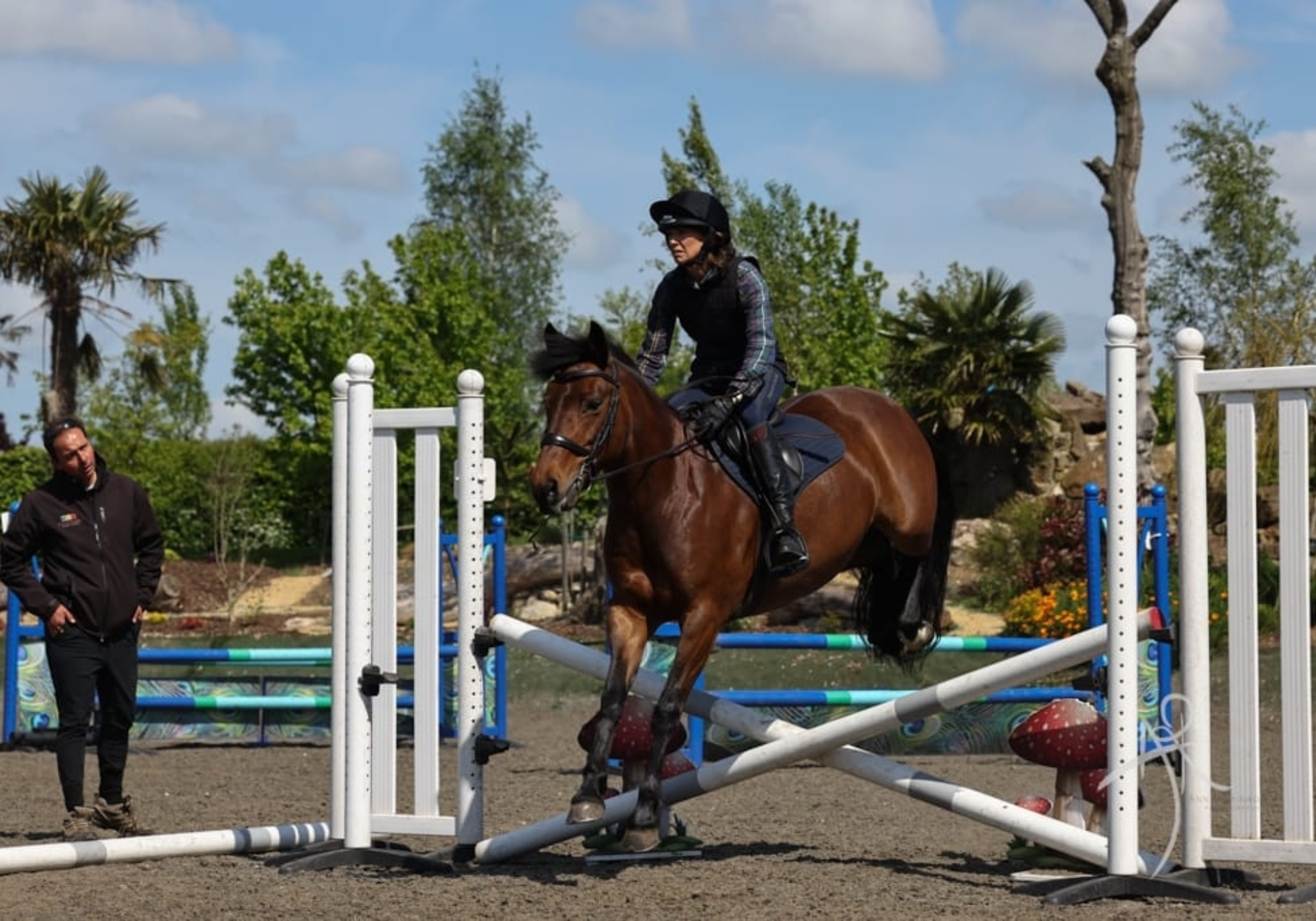 Half Term Arena Eventing at Wood Farm Equestrian with Roland Bellido (NFED Event Diary)