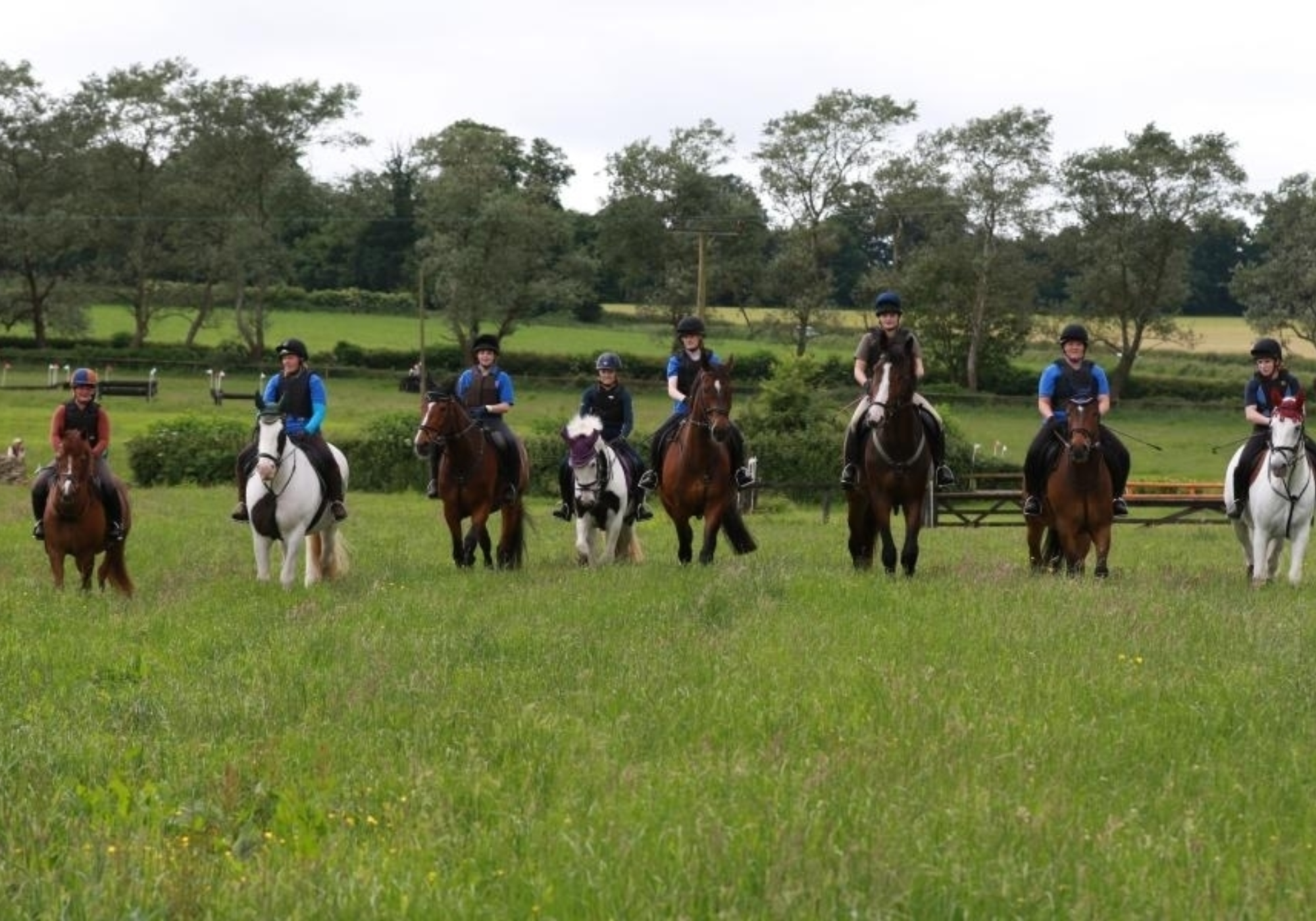 Kingston Maurward Autumn Fun Show (NFED Event Diary)
