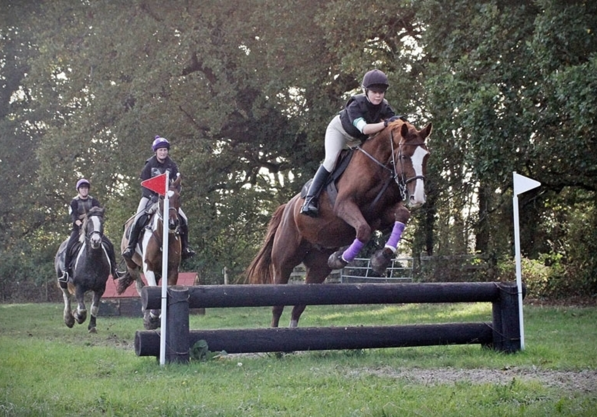 Poles & Jumping Clinic with Lizzie Hawkins BHSAPC (NFED Event Diary)
