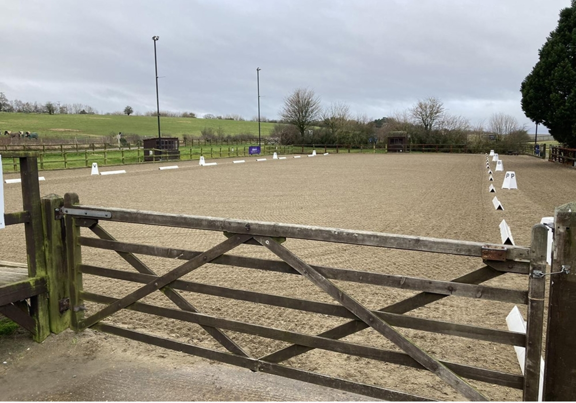 Winchester Riding Club Open Show (NFED Event Diary)
