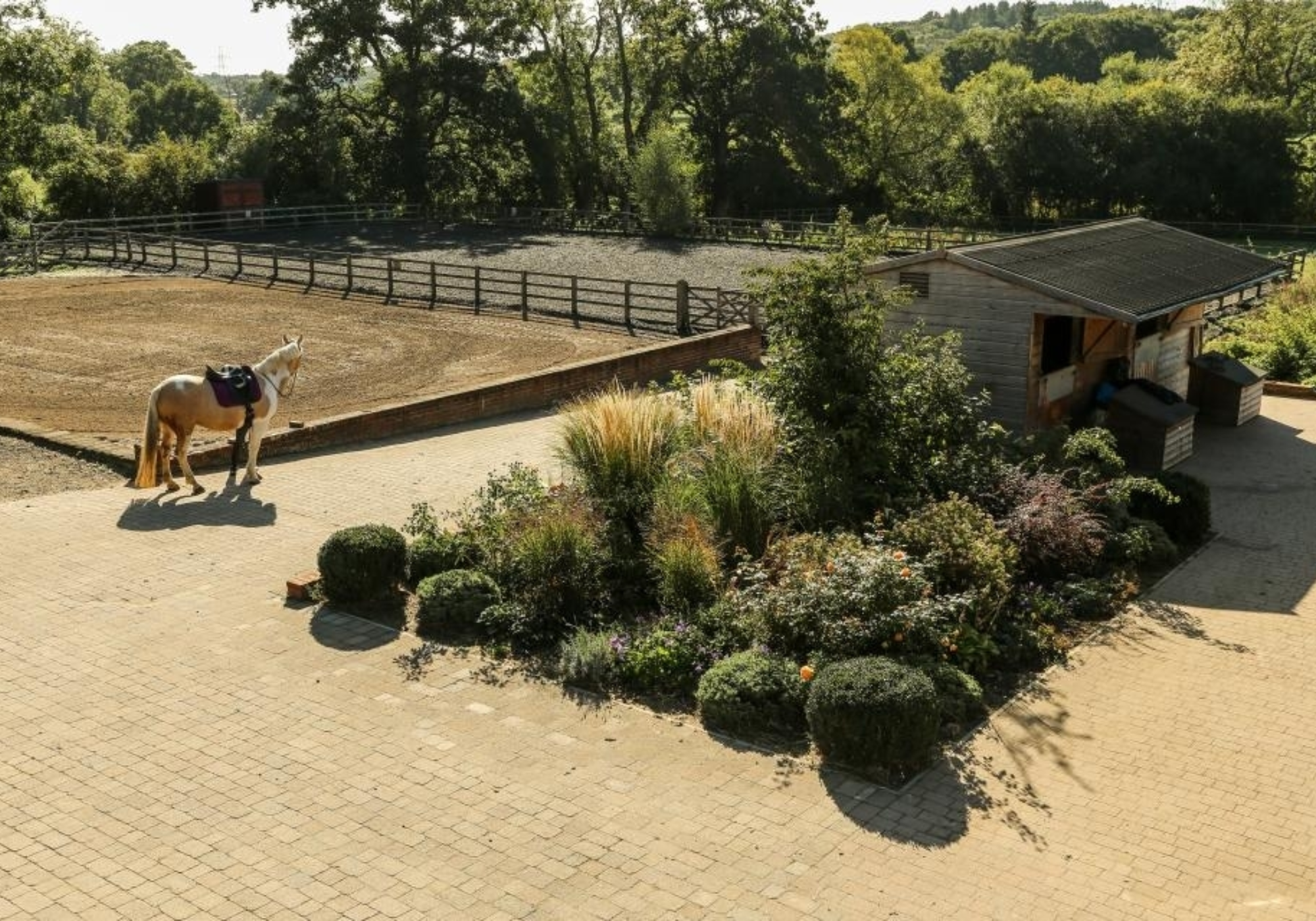 Bow Lake Dressage (NFED Event Diary)
