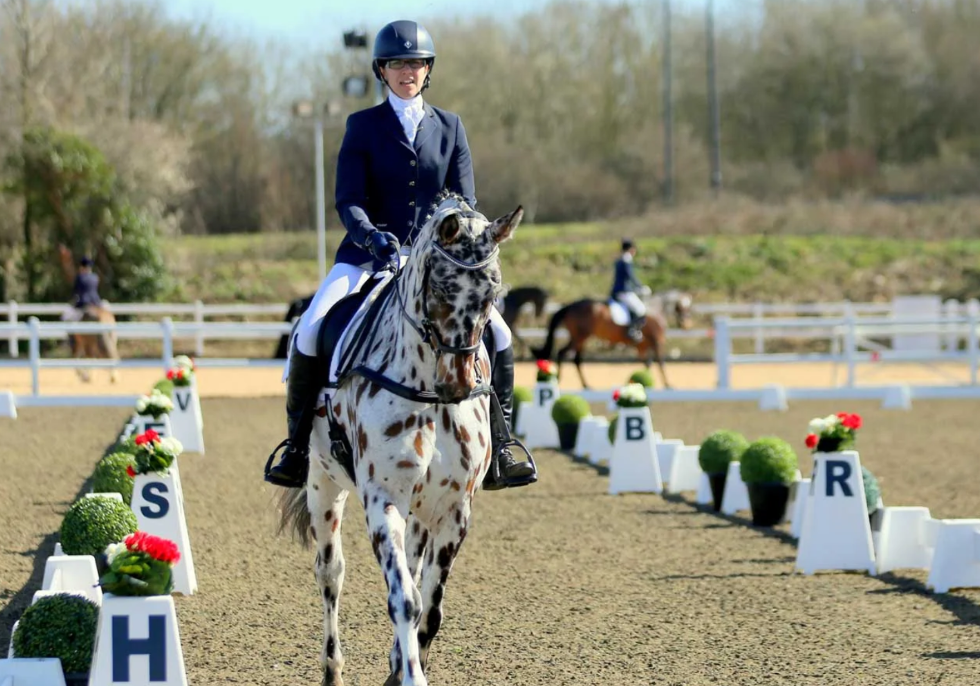 Prestige Equestrian LLP QWL (British Dressage)