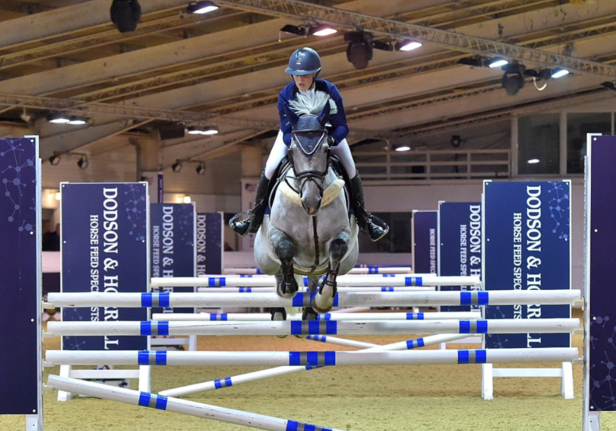 Arena UK Senior (C2) (British Show Jumping)