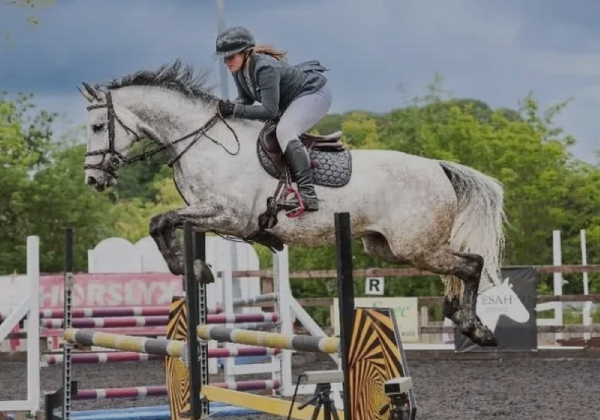 Murray House Livery - Mixed, Senior (C1) & Club (British Show Jumping)