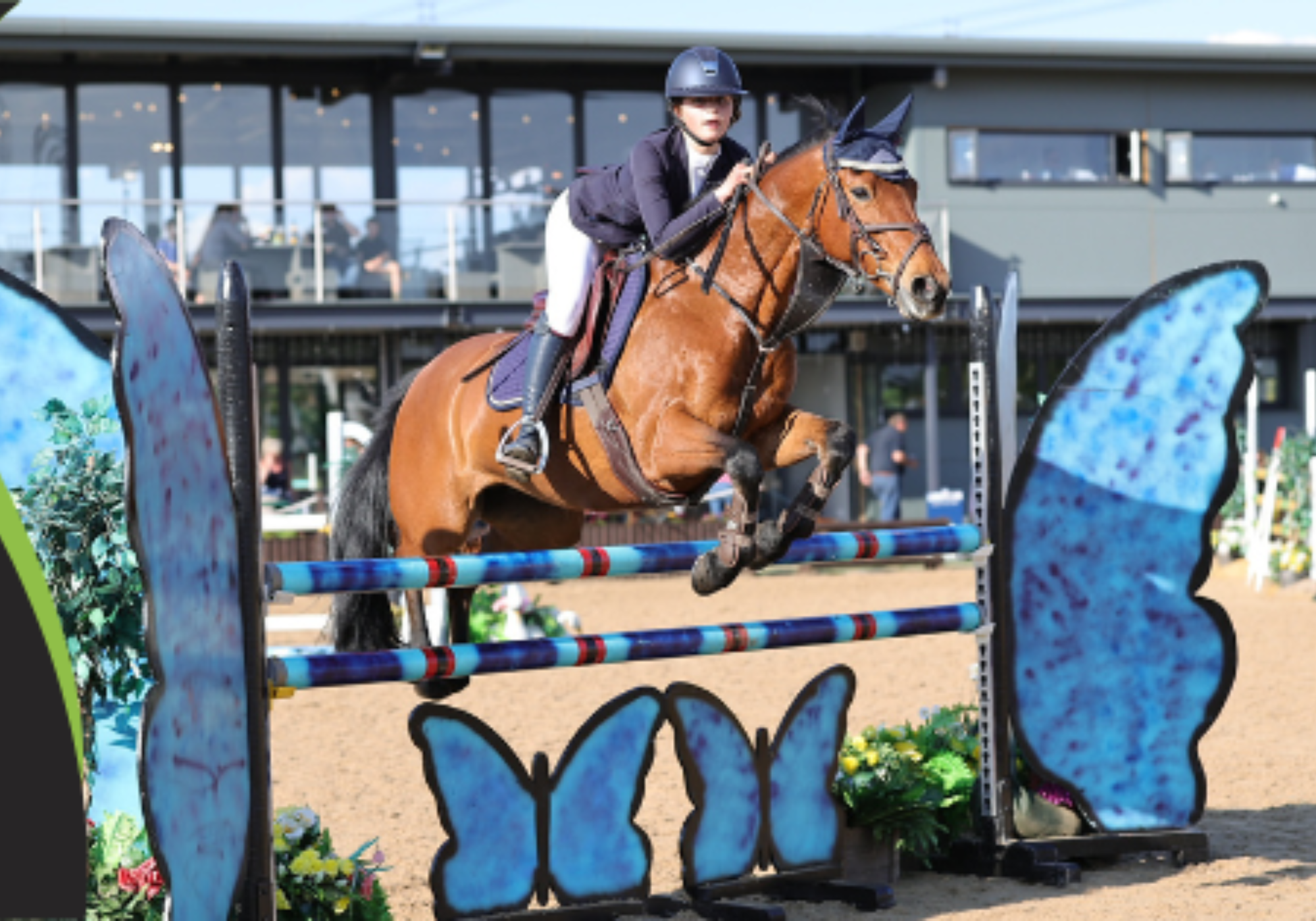Weston Lawns Equestrian Show - Junior & Club (British Show Jumping)