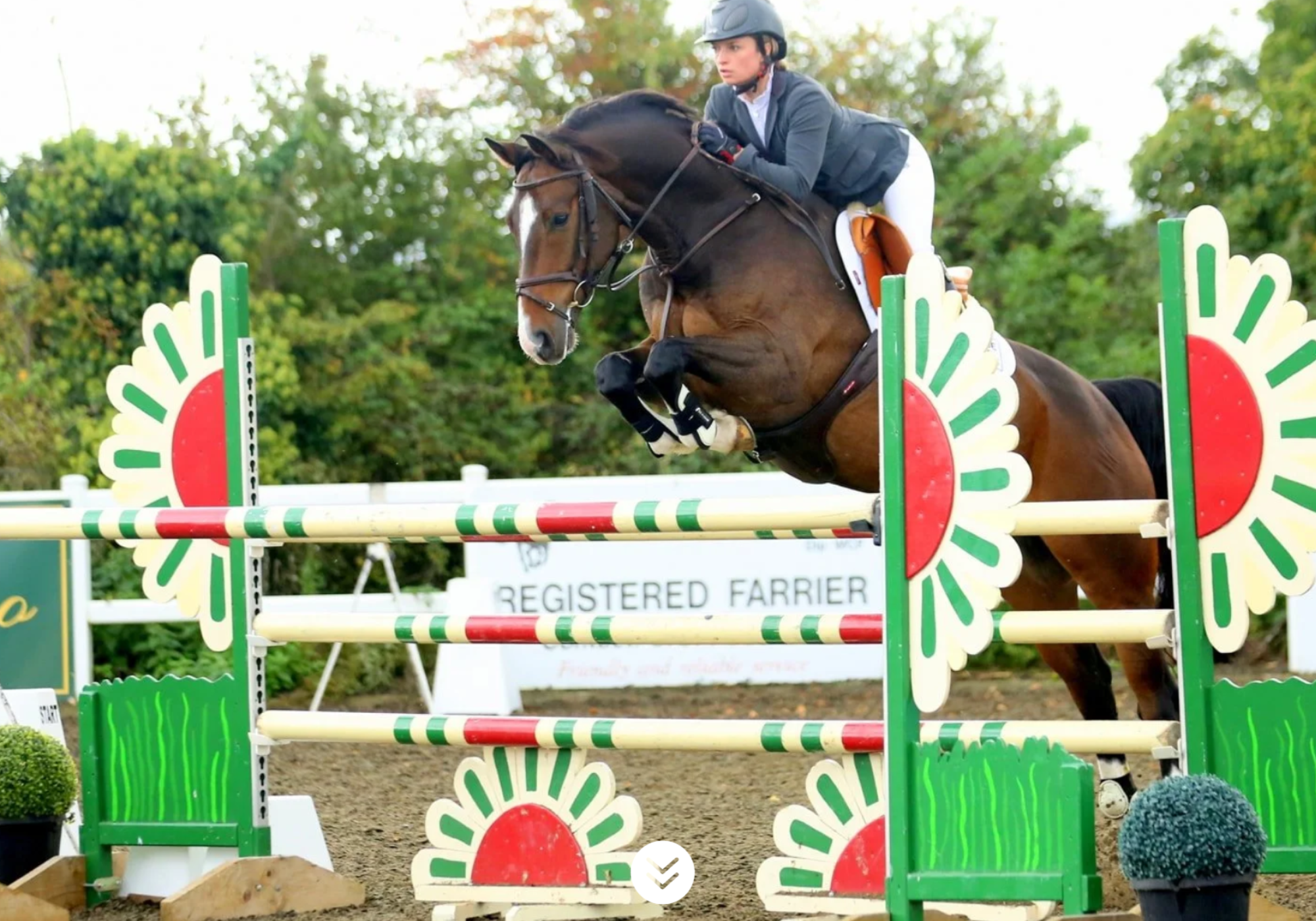 Prestige Equestrian - Senior (C2) & Club (British Show Jumping)