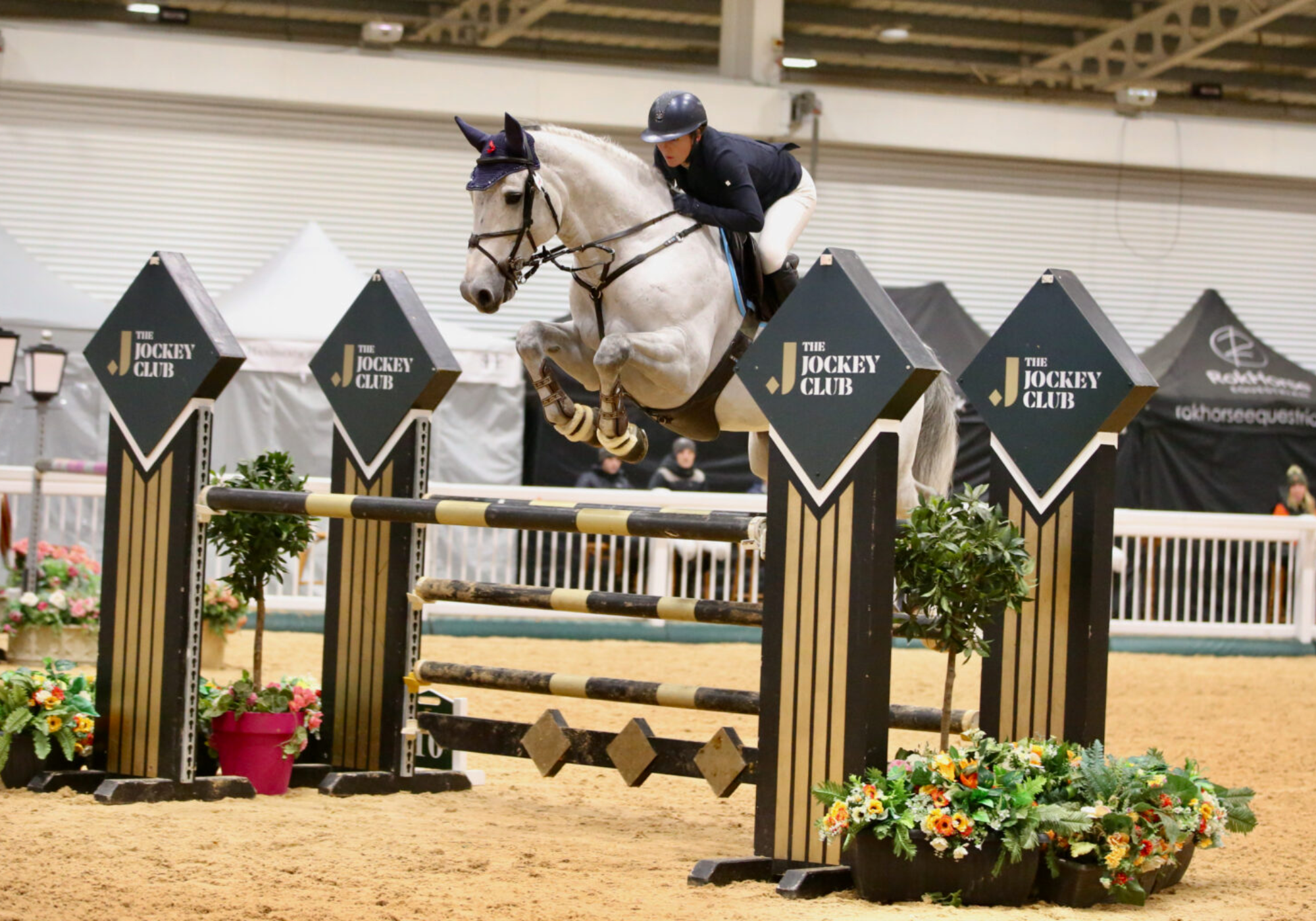 Aintree International Equestrian Centre - Senior (C1) (British Show Jumping)