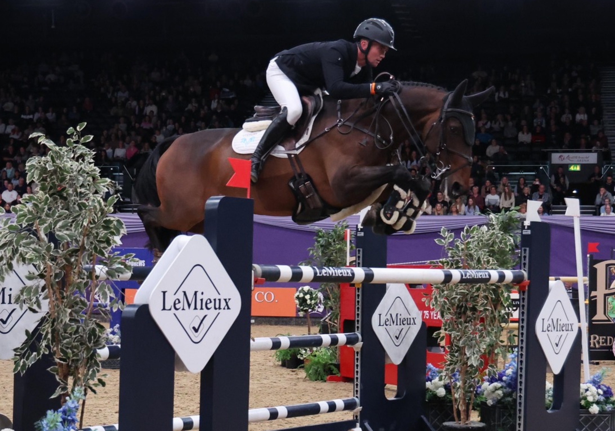 Horse of the Year Show (British Show Jumping)