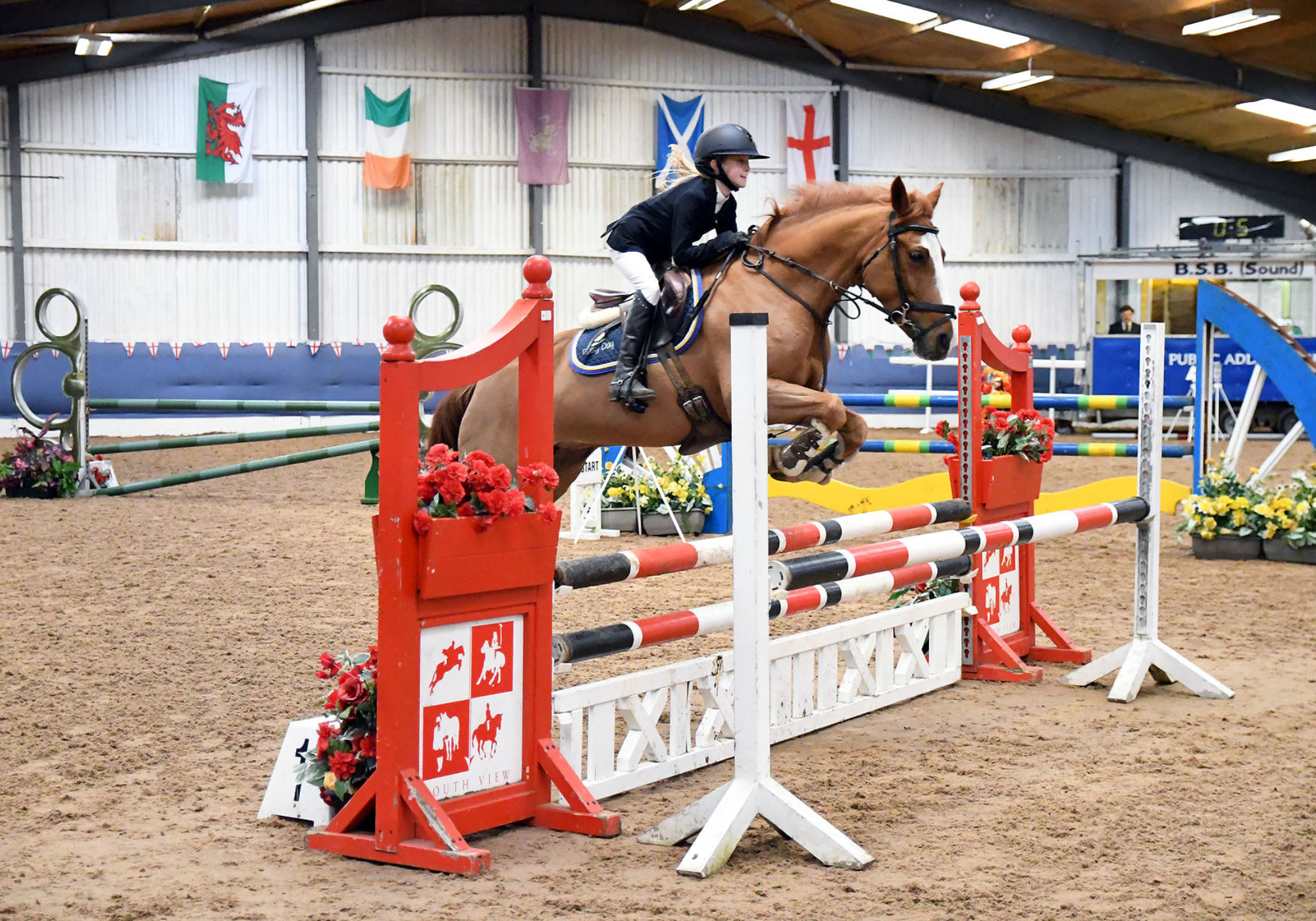 South View Equestrian Centre - Junior (British Show Jumping)
