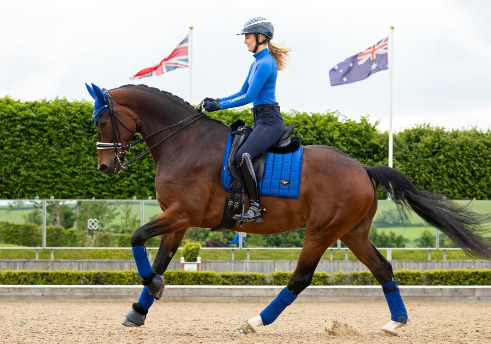 Chard Equestrian Ltd (British Dressage)