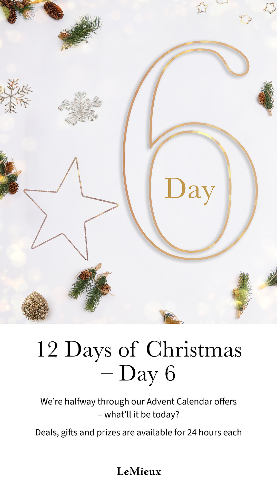 LeMieux Advent Calendar - Day 6
