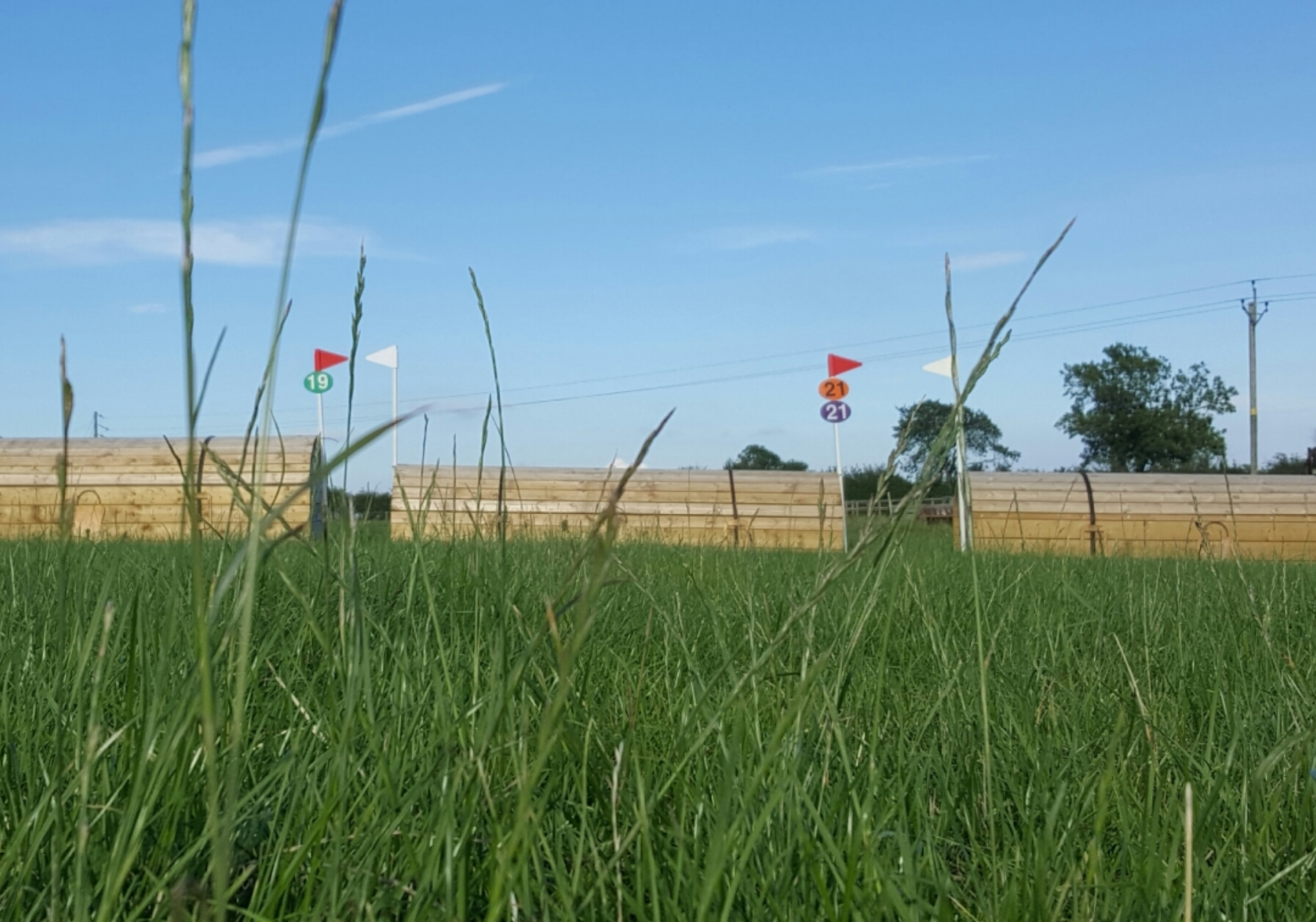Northallerton (British Eventing)