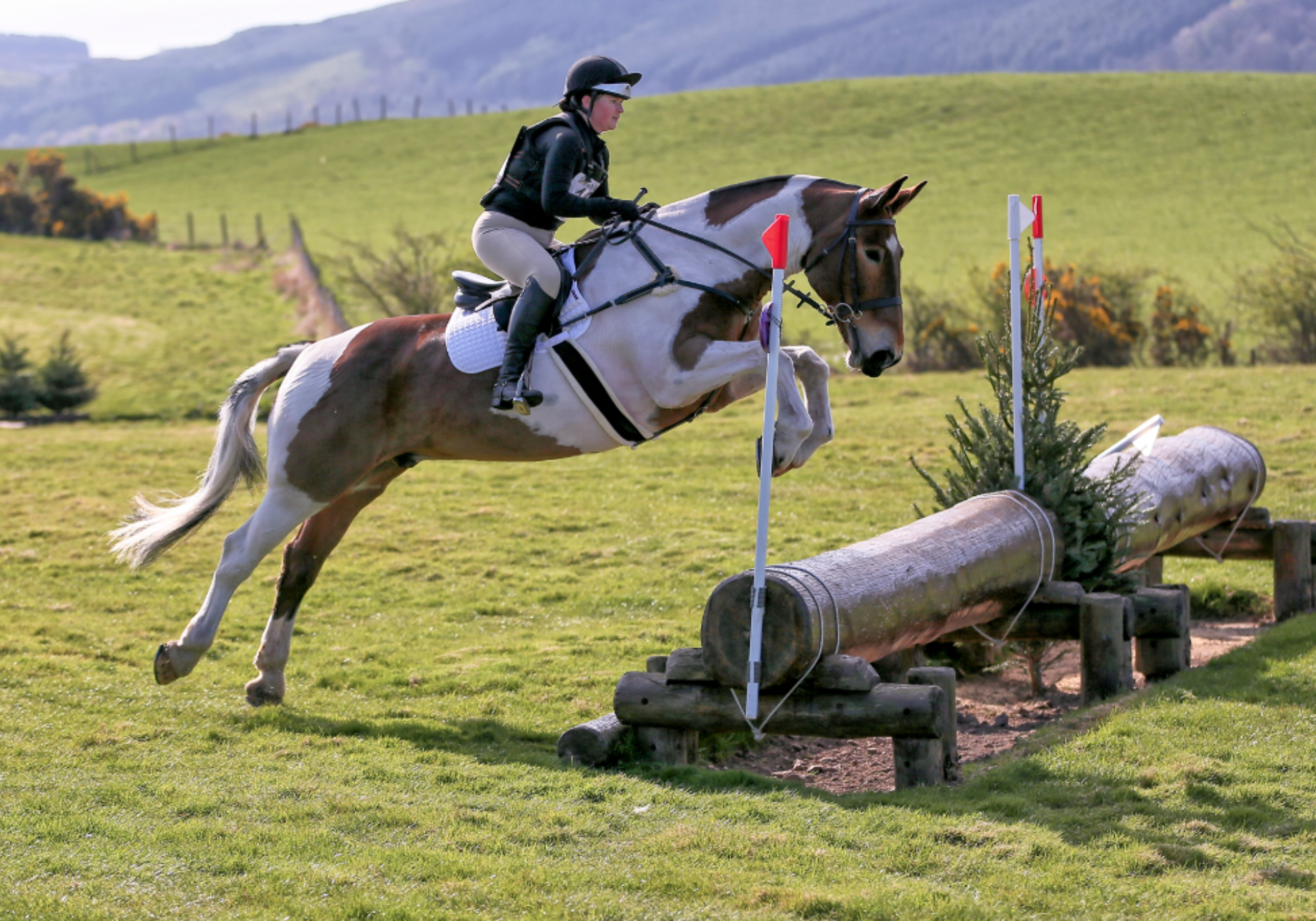 Forgandenny (British Eventing)