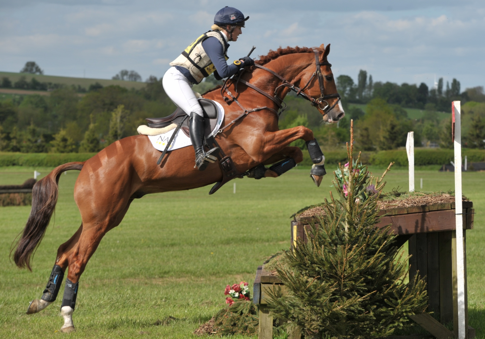 Aston-Le-Walls (British Eventing)