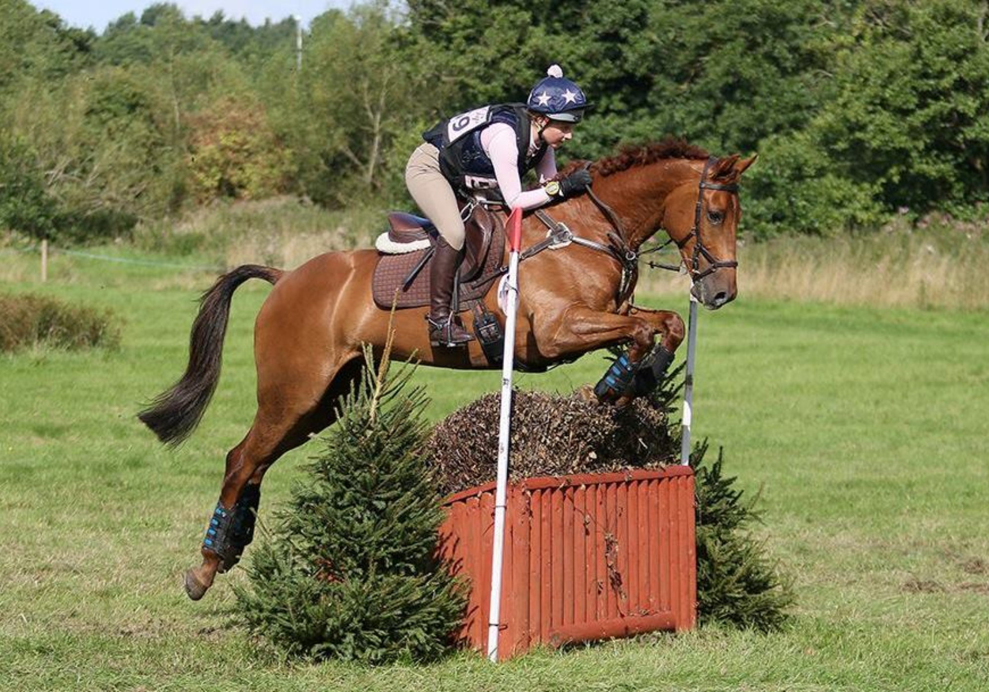Solihull (British Eventing)