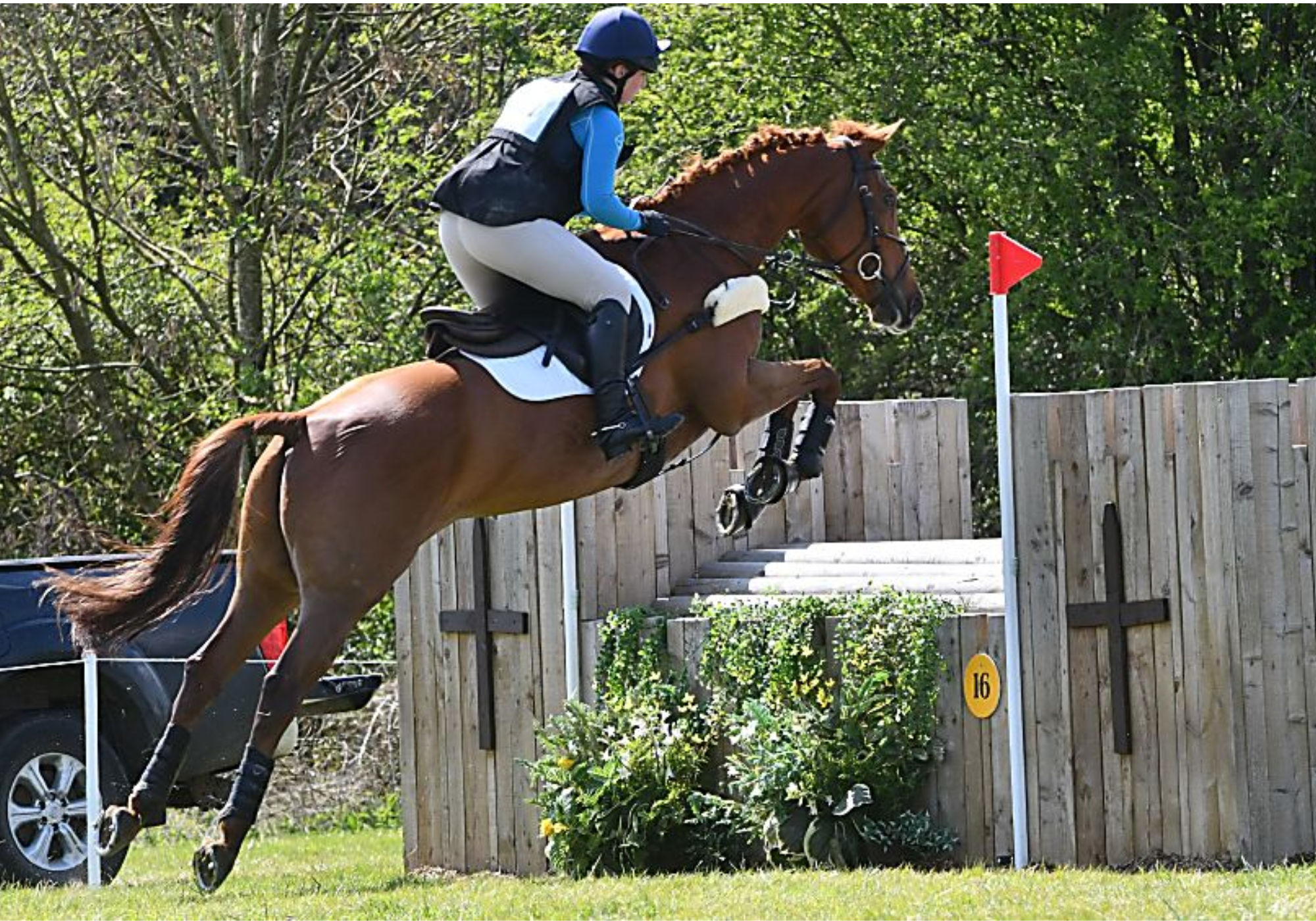 Bradwall Manor (British Eventing)