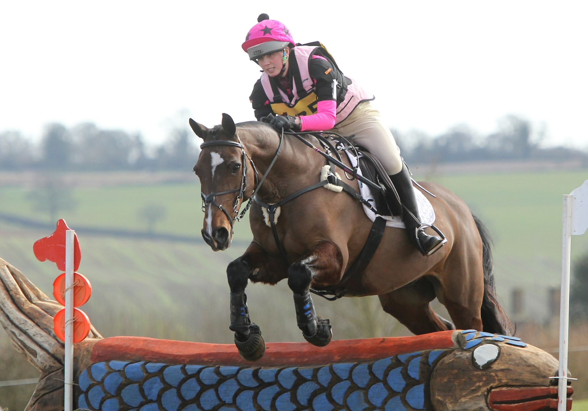 Swalcliffe Park (British Eventing)