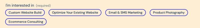 [Share] How to change checkbox background/border in Form - Blocks ...