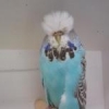 baz1